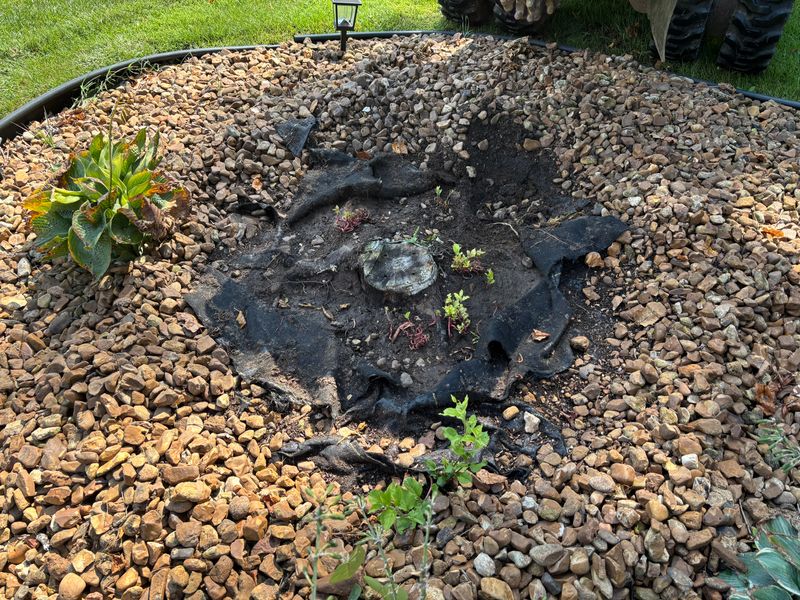 Stump Removal