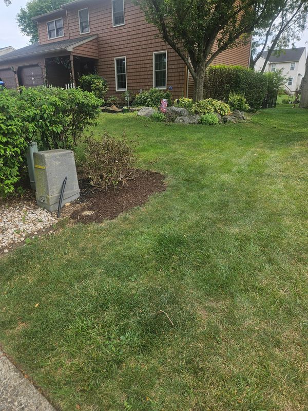 Landscape Design