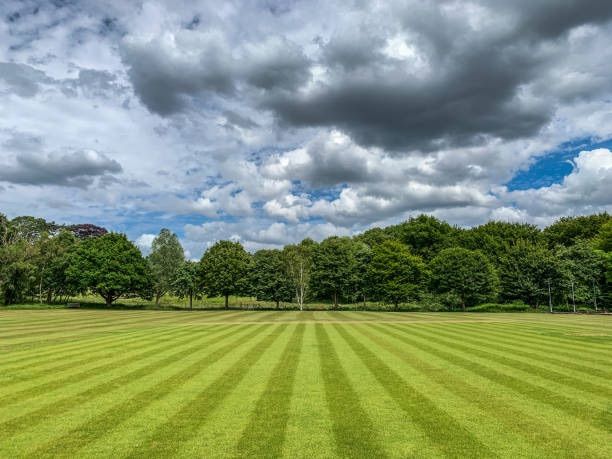 Lawn Maintenance