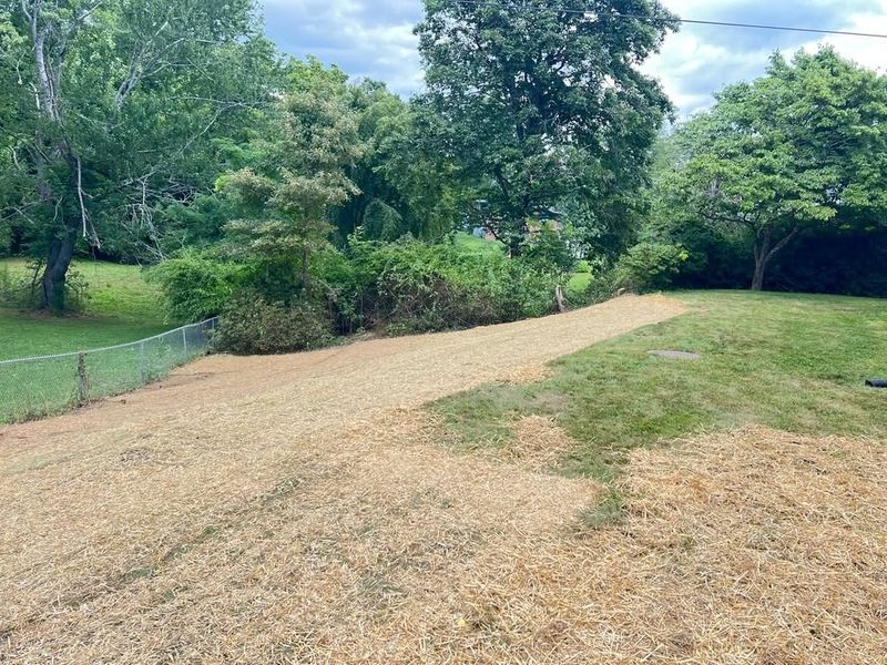 Land Clearing