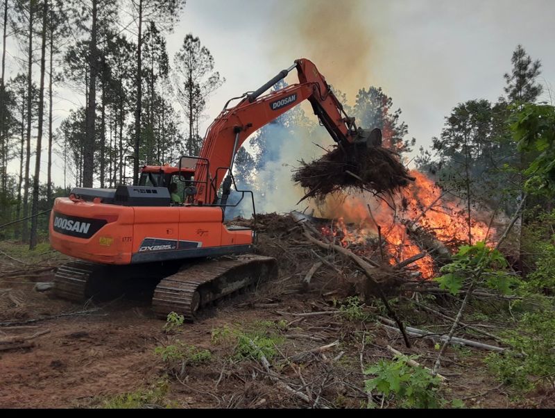 Major Grading and Land Clearing