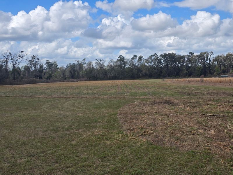 Land Clearing