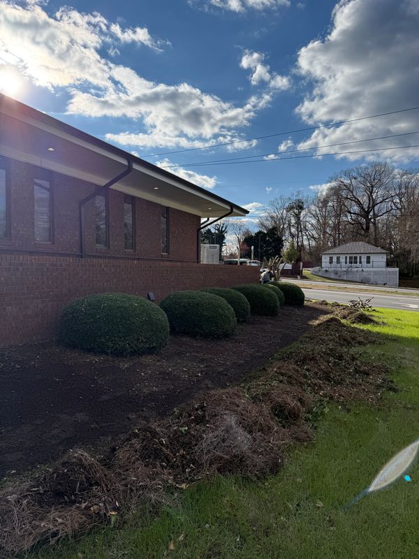Tree & Shrub Care