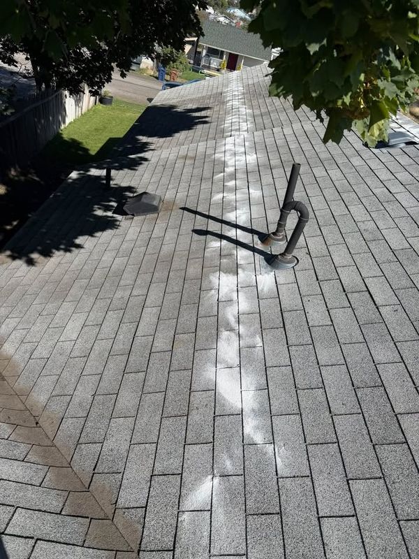 Roof Cleaning