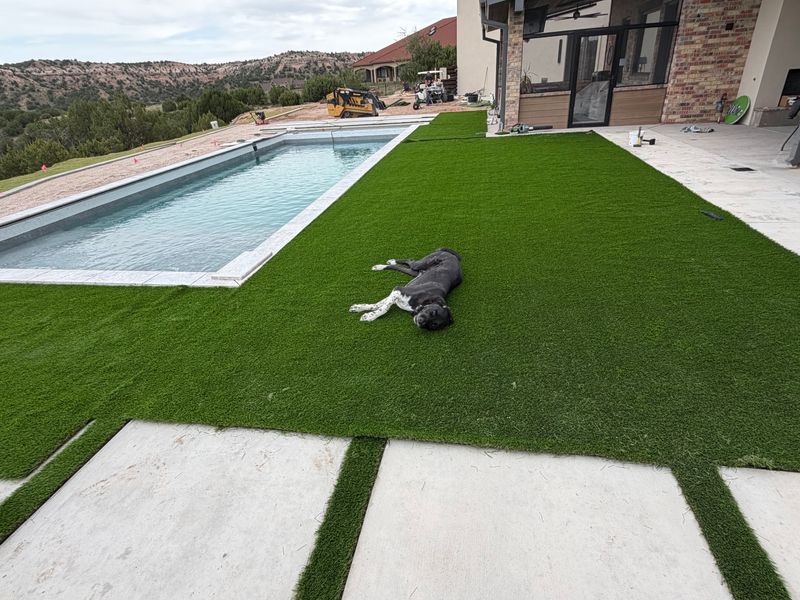 Artificial Turf