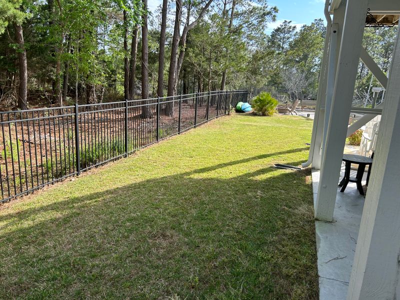 Lawn Maintenance