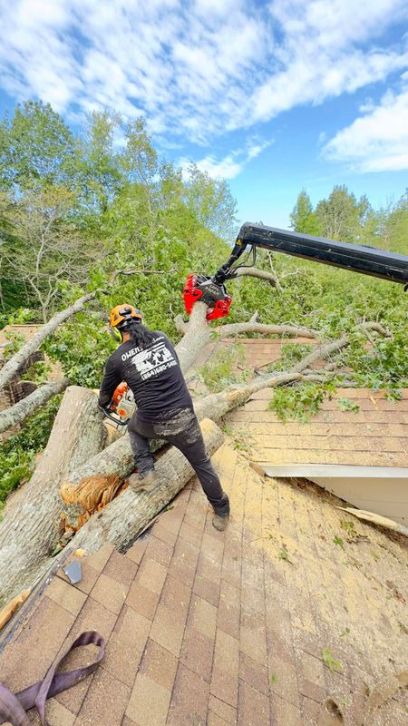 Fall Clean Up