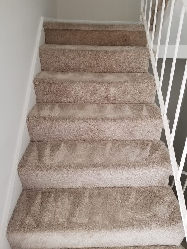 Carpet Cleaning