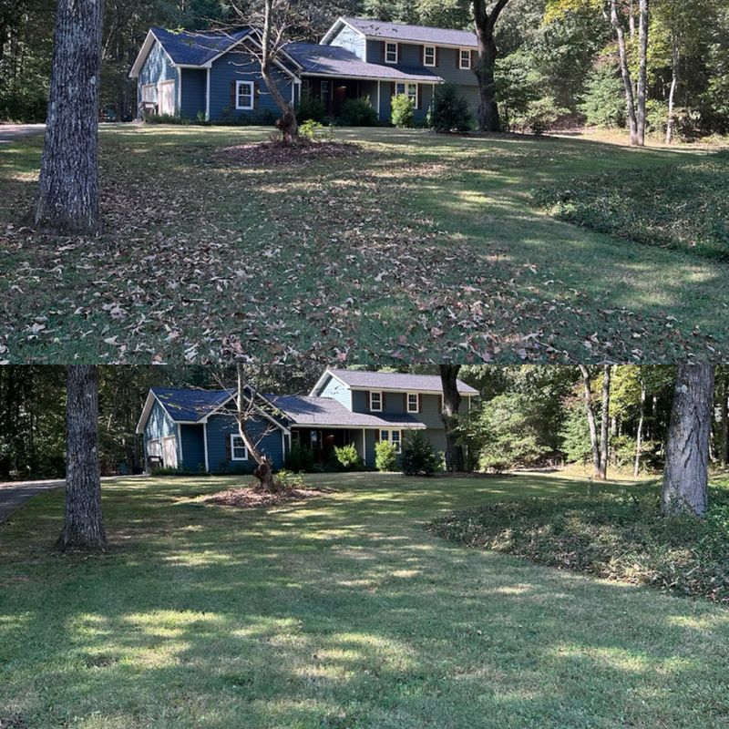Spring/Fall Clean Up