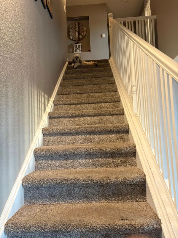 Interior Renovation