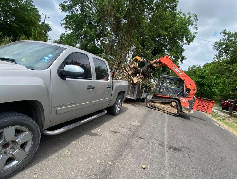 Land Clearing