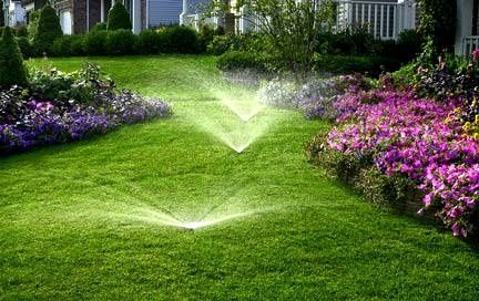 Lawn Maintenance