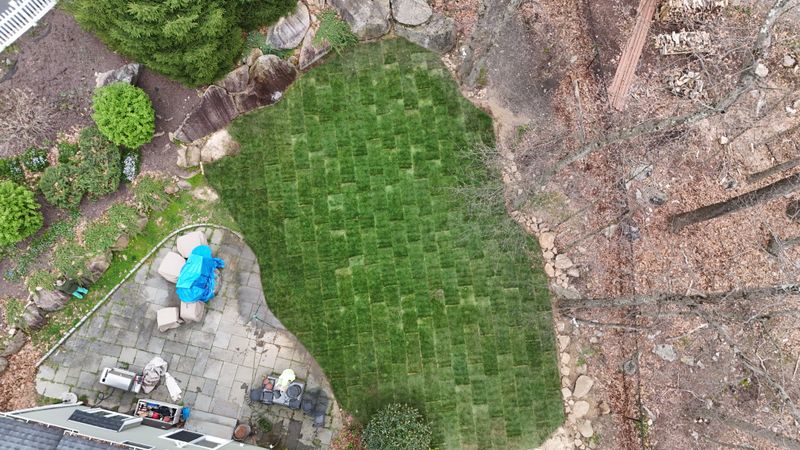 Plantings & Landscape Design