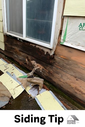 Dry Rot Repair