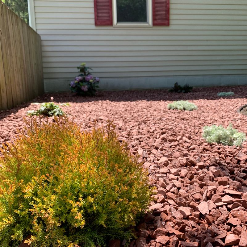 Garden Overhaul with Vibrant Planting and Red Stone