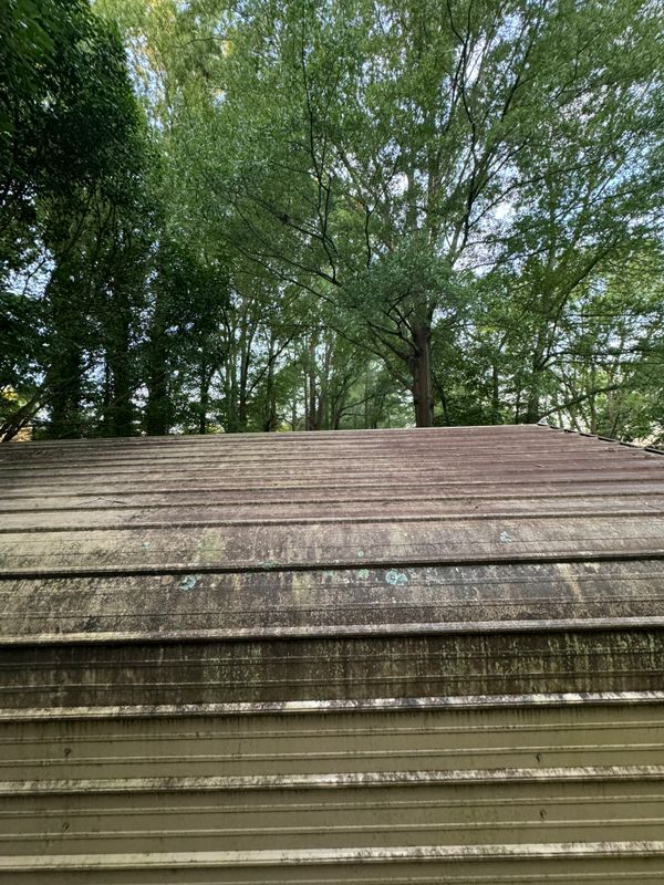 Pressure Washing 