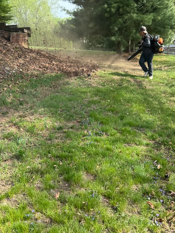 Lawn care