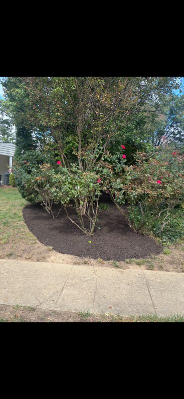 Our Work