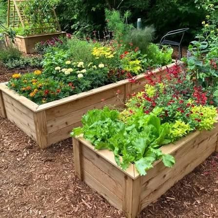 Garden Care and Planting