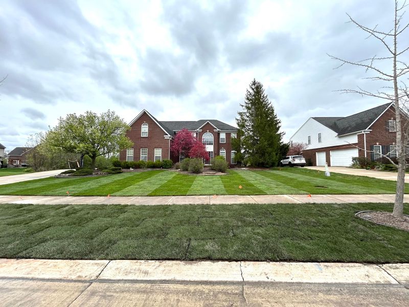 Land Grading & Sod