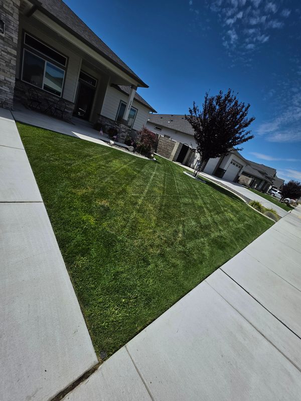 Lawn Mowing