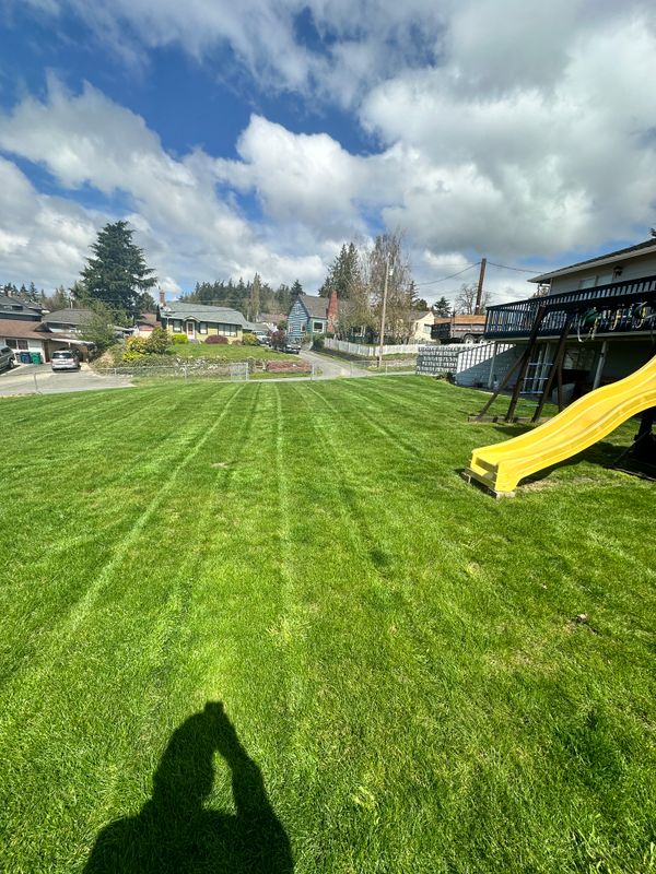 Landscape Maintenance