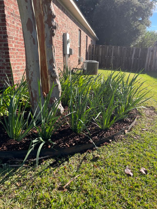 Landscape Maintenance