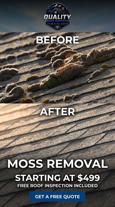 Roof Cleaning
