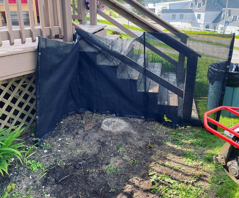 Stump Grinding