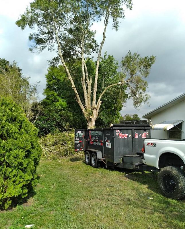 Stump Removal