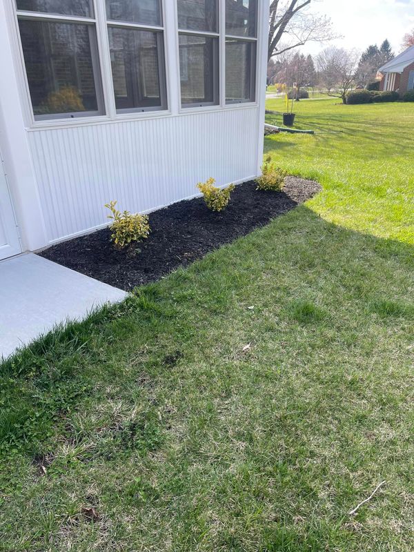Mulch Installation