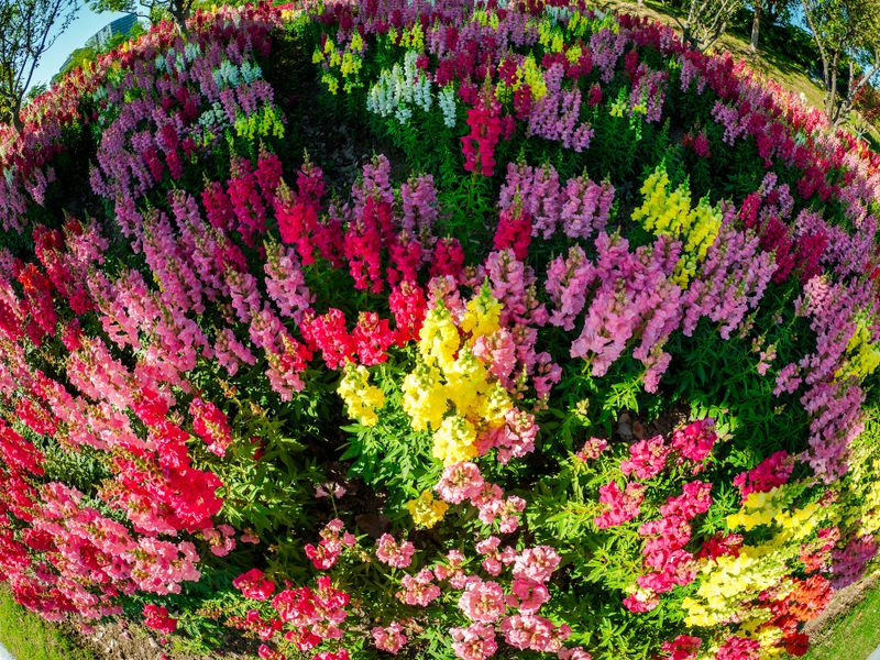 Landscape Design