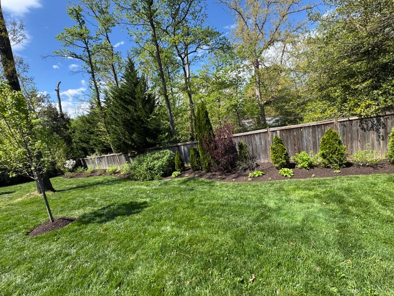 Lawn Care & Maintenance