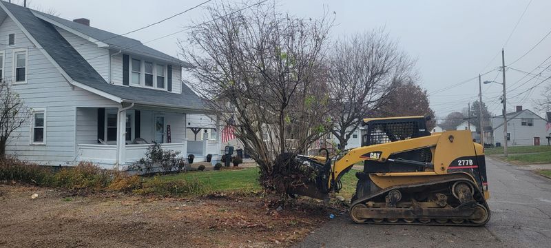 Downed Tree/Brush Removal