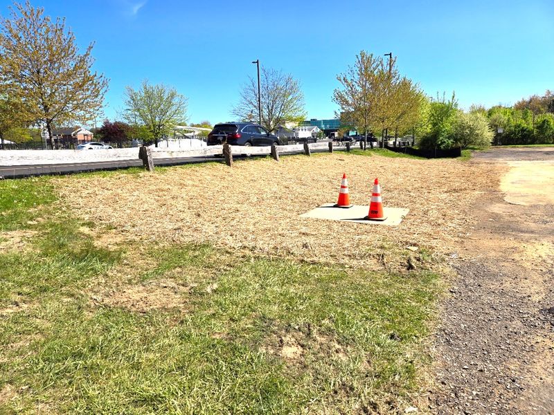 Major Grading and Land Clearing