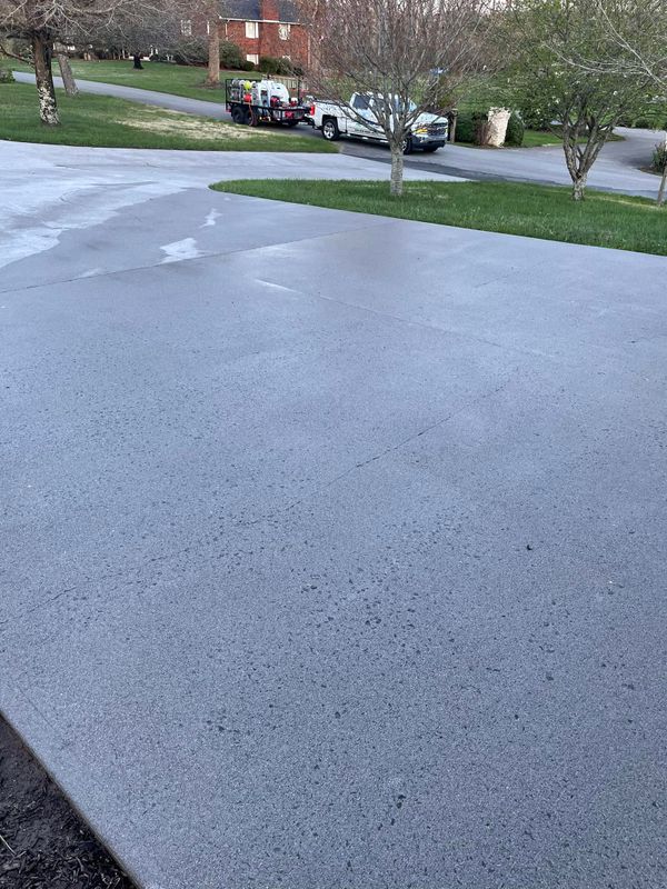 Driveway and Sidewalk Cleaning