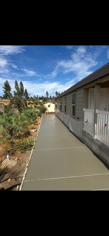 Tree and Shrub Care
