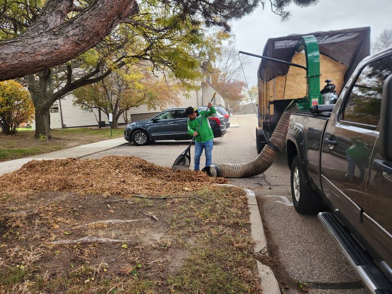 Fall clean up 