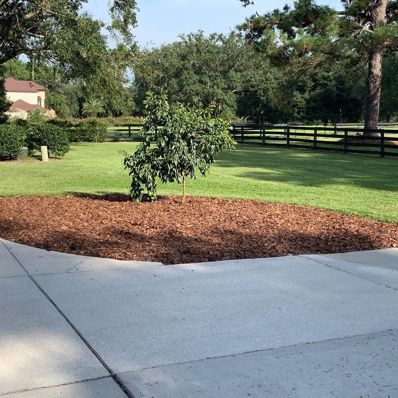 Landscape Maintenance & Mowing Services