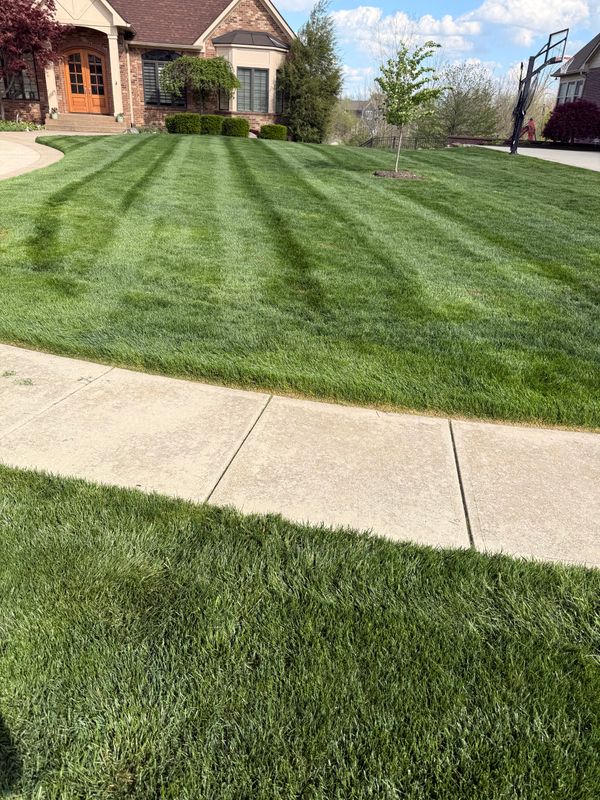 Lawn Care and Maintenance