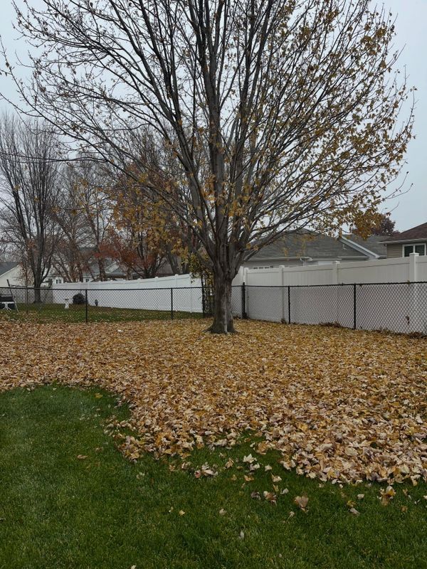 Seasonal Clean-Up