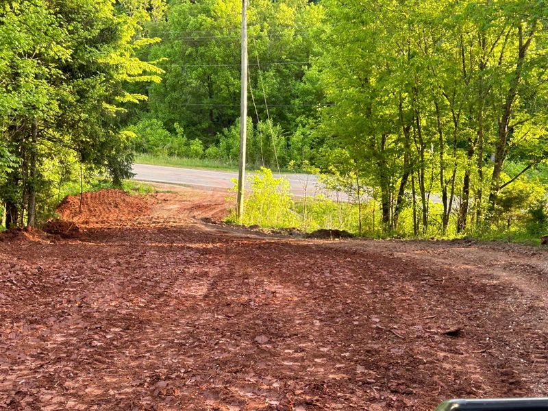 Land Clearing