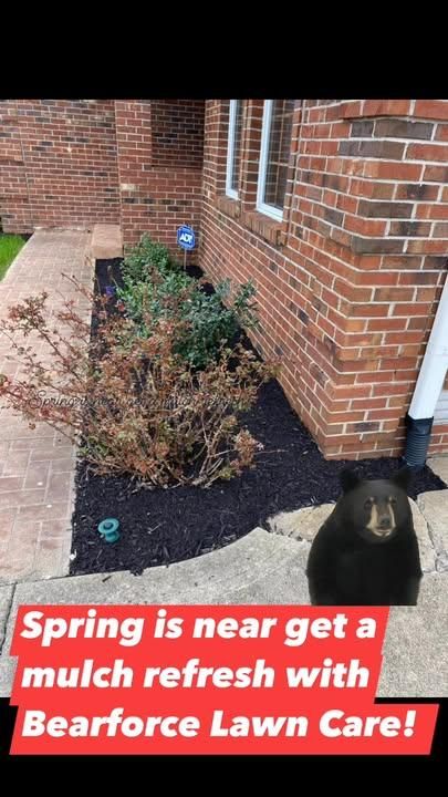Mulch Installation