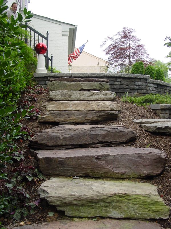 Steps