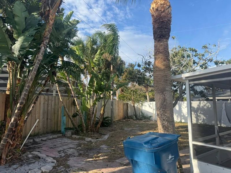 Tree Removal