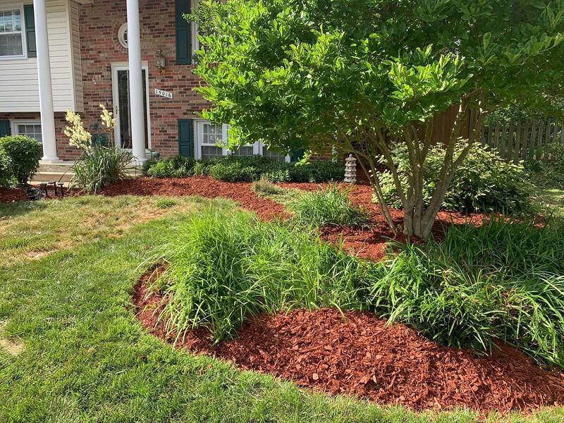 Mulch Installation