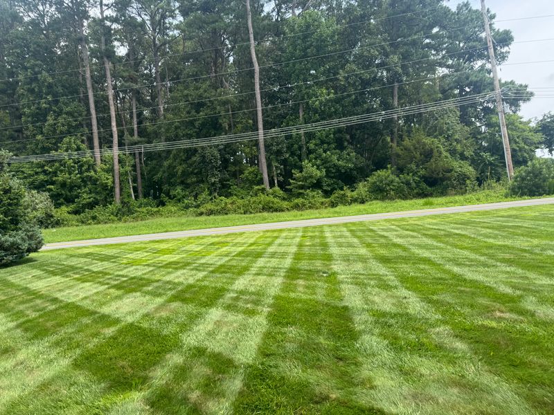 Lawn Mowing & Maintenance