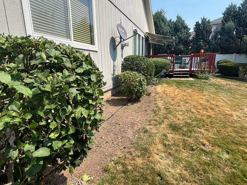 Tree and Shrub Care