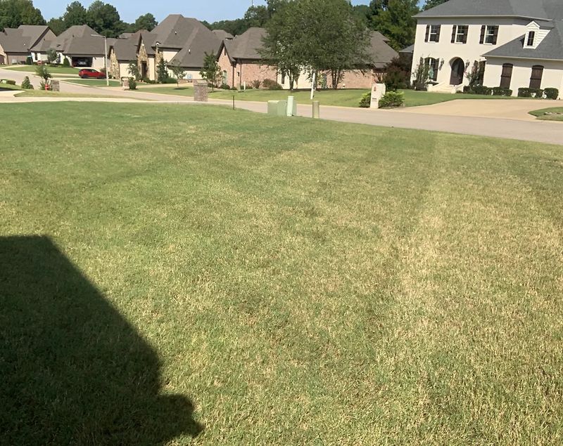 Lawn Care