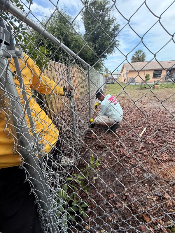 Chainlink Fence
